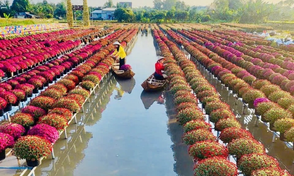 Khám Phá "Vương Quốc" Làng Hoa Cái Mơn Tuyệt Đẹp Tại Miền Tây